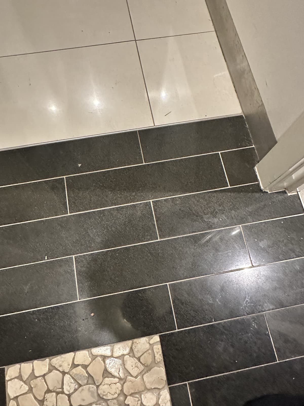 After: the dark laundry floor tile repaired and matched to the others.
